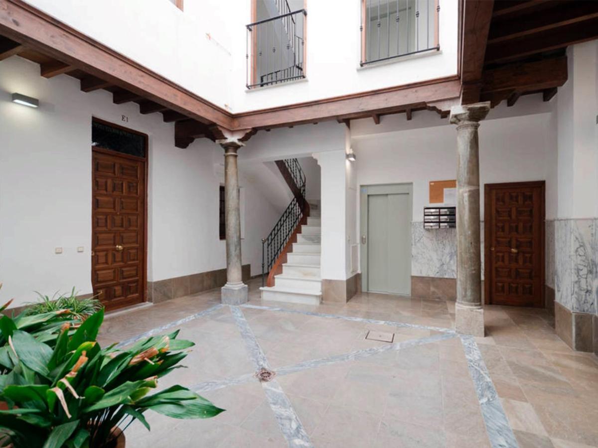 Loft Wifi Centro Espectacular Terraza Con Todos Los Servicios グラナダ エクステリア 写真